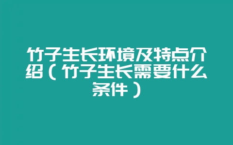 竹子生长环境及特点介绍（竹子生长需要什么条件）-会东网