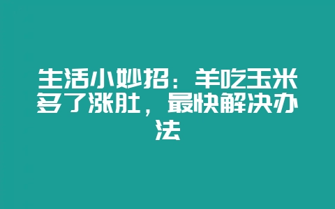 生活小妙招：羊吃玉米多了涨肚，最快解决办法-会东网