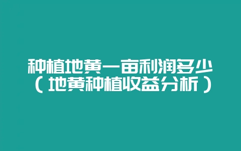种植地黄一亩利润多少(地黄种植收益分析)插图 种植地黄一亩利润多少(地黄种植收益分析)插图