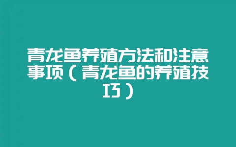 青龙鱼养殖方法和注意事项（青龙鱼的养殖技巧）-会东网