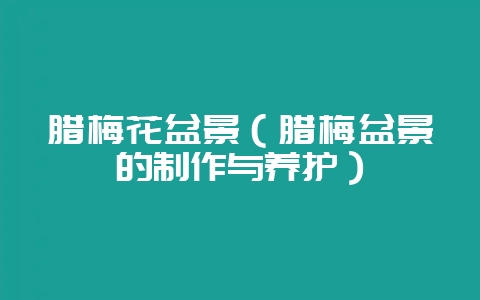 腊梅花盆景（腊梅盆景的制作与养护）-会东网