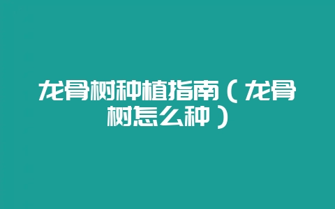 龙骨树种植指南（龙骨树怎么种）-会东网