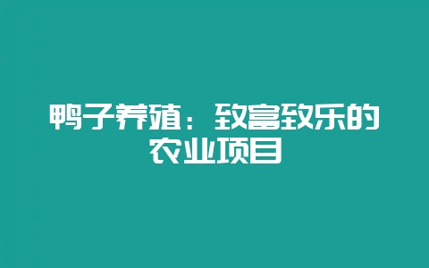 鸭子养殖:致富致乐的农业项目插图 鸭子养殖:致富致乐的农业项目插图