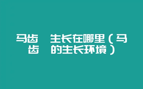 马齿苋生长在哪里（马齿苋的生长环境）-会东网