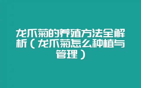 龙爪菊的养殖方法全解析（龙爪菊怎么种植与管理）-会东网