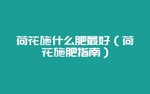 荷花施什么肥最好（荷花施肥指南）-会东网