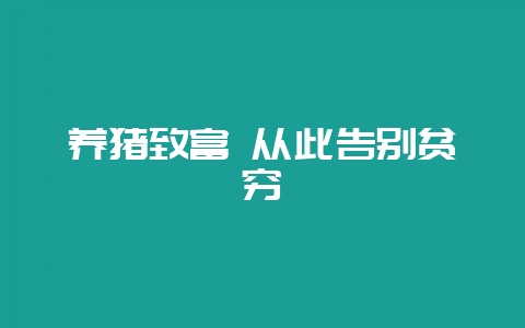 养猪致富 从此告别贫穷插图 养猪致富 从此告别贫穷插图