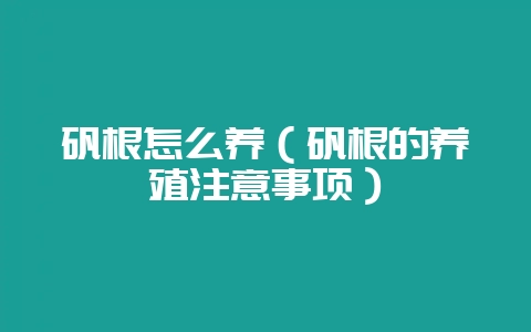 矾根怎么养（矾根的养殖注意事项）-会东网