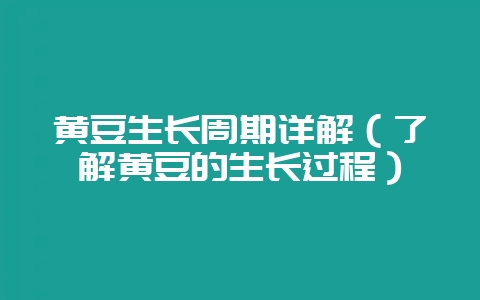 黄豆生长周期详解(了解黄豆的生长过程)-会东网