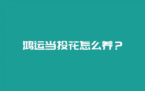 鸿运当头花怎么养？-会东网