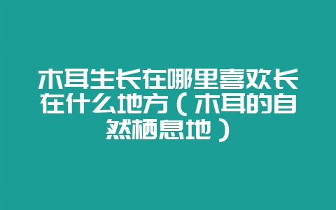 木耳生长在哪里喜欢长在什么地方（木耳的自然栖息地）-会东网