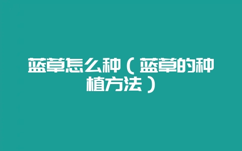 蓝草怎么种(蓝草的种植方法)-会东网