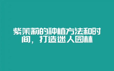 紫茉莉的种植方法和时间，打造迷人园林-会东网