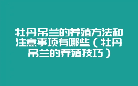 牡丹吊兰的养殖方法和注意事项有哪些（牡丹吊兰的养殖技巧）-会东网