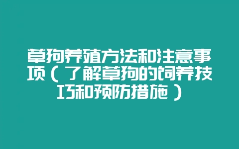 草狗养殖方法和注意事项（了解草狗的饲养技巧和预防措施）-会东网