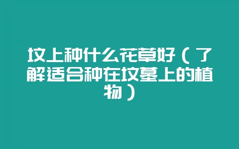 坟上种什么花草好（了解适合种在坟墓上的植物）-会东网