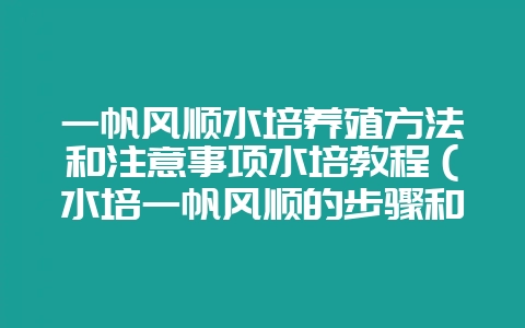 一帆风顺水培养殖方法和注意事项水培教程(水培一帆风顺的步骤和-会东网