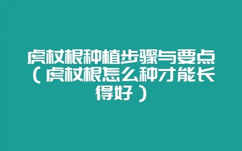虎杖根种植步骤与要点（虎杖根怎么种才能长得好）-会东网