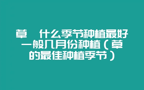 草莓什么季节种植最好一般几月份种植(草莓的最佳种植季节)-会东网