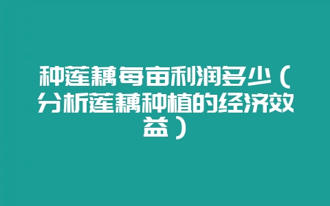 种莲藕每亩利润多少(分析莲藕种植的经济效益)插图 种莲藕每亩利润多少(分析莲藕种植的经济效益)插图