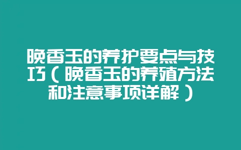 晚香玉的养护要点与技巧（晚香玉的养殖方法和注意事项详解）-会东网