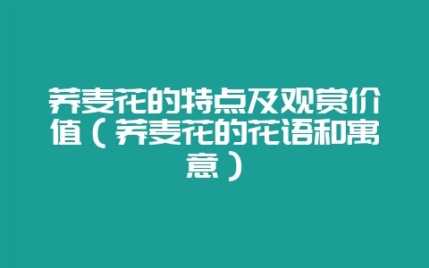 荞麦花的特点及观赏价值（荞麦花的花语和寓意）-会东网
