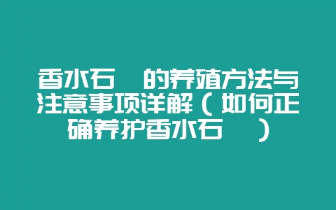 香水石斛的养殖方法与注意事项详解(如何正确养护香水石斛)插图 香水石斛的养殖方法与注意事项详解(如何正确养护香水石斛)插图
