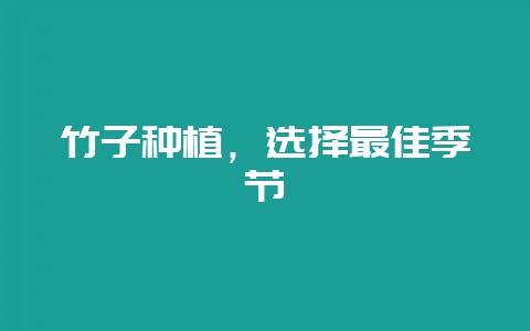 竹子种植，选择最佳季节-会东网