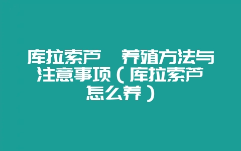 库拉索芦荟养殖方法与注意事项（库拉索芦荟怎么养）-会东网