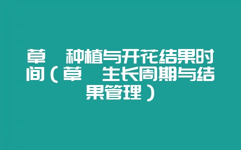 草莓种植与开花结果时间（草莓生长周期与结果管理）-会东网