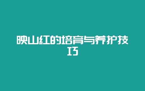 映山红的培育与养护技巧-会东网