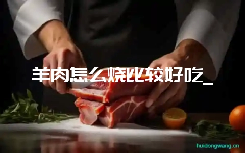羊肉怎么烧比较好吃_-会东网