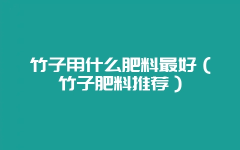 竹子用什么肥料最好（竹子肥料推荐）-会东网