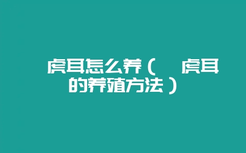 姬虎耳怎么养（姬虎耳的养殖方法）-会东网