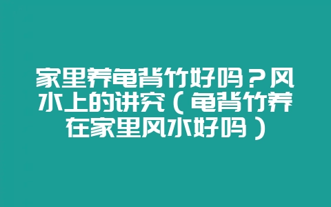 家里养龟背竹好吗？风水上的讲究（龟背竹养在家里风水好吗）-会东网