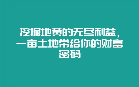 挖掘地黄的无尽利益,一亩土地带给你的财富密码插图 挖掘地黄的无尽利益,一亩土地带给你的财富密码插图