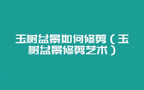玉树盆景如何修剪（玉树盆景修剪艺术）-会东网