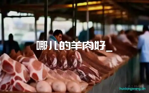 哪儿的羊肉好_-会东网