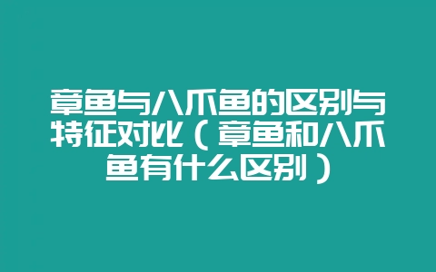 章鱼与八爪鱼的区别与特征对比（章鱼和八爪鱼有什么区别）-会东网
