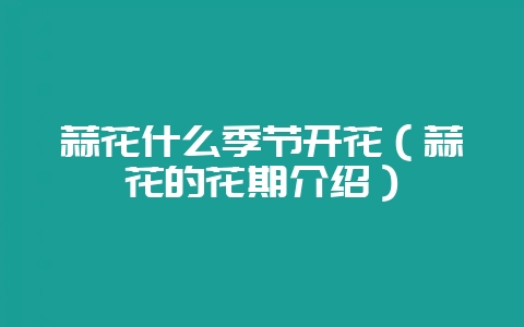 蒜花什么季节开花(蒜花的花期介绍)-会东网