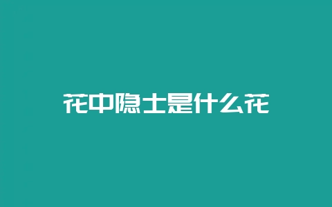 花中隐士是什么花-会东网