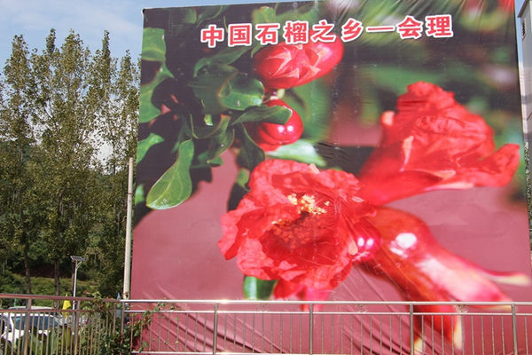 会理市招聘网最新招聘信息(会理市招聘网最新招聘信息查询)插图 会理市招聘网最新招聘信息(会理市招聘网最新招聘信息查询)插图