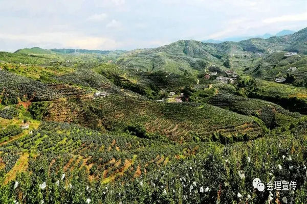 会理市的气候分布(四川会理市气候类型)插图