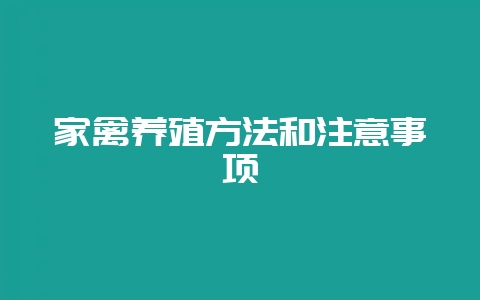 家禽养殖方法和注意事项-会东网