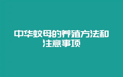 中华蚊母的养殖方法和注意事项-会东网