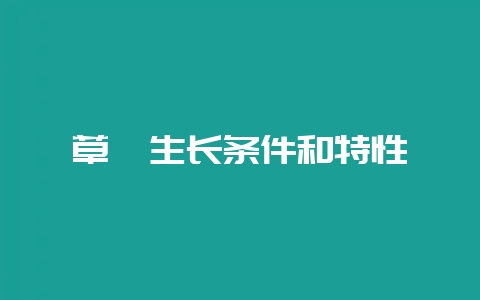 草莓生长条件和特性-会东网