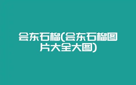 会东石榴(会东石榴图片大全大图)-会东网