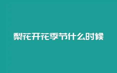 梨花开花季节什么时候-会东网
