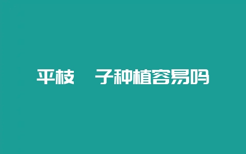 平枝栒子种植容易吗-会东网
