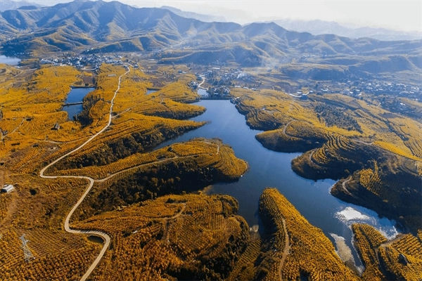 会理市十大特产(会理市特产有哪些可带走)-会东网